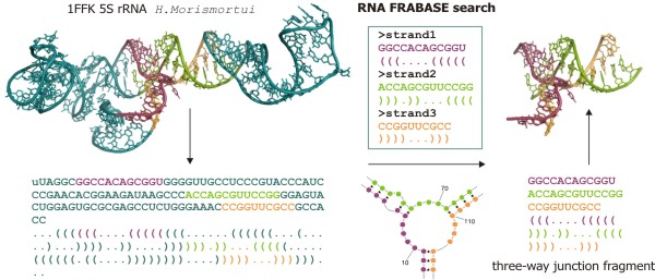 1ffk_5srna.jpg