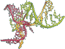 RNA FRABASE